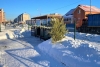 2022.01.13 сбор ёлок.jpg